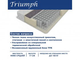 Матрас Triumph (Триумф) в Лебедином - lebedinyj.mebel-nsk.ru | фото